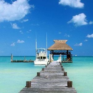 Meet your Posher, T lynn